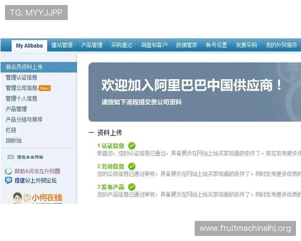 PG国际在线官网入口安全验证流程，确保玩家账号信息安全与游戏顺利进行